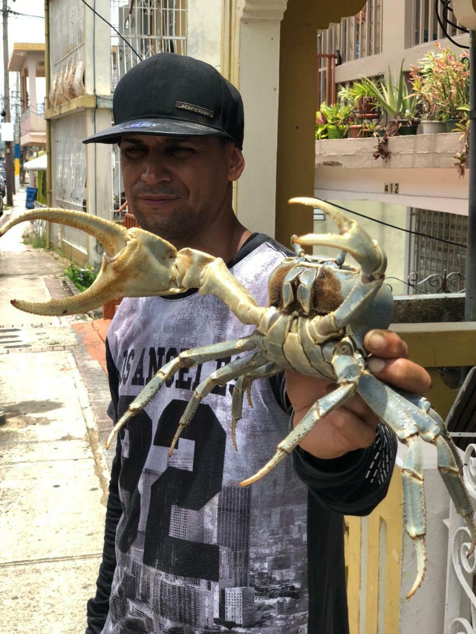 Casita Paraiso Aguadilla Eksteriør billede